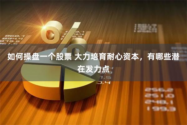 如何操盘一个股票 大力培育耐心资本，有哪些潜在发力点