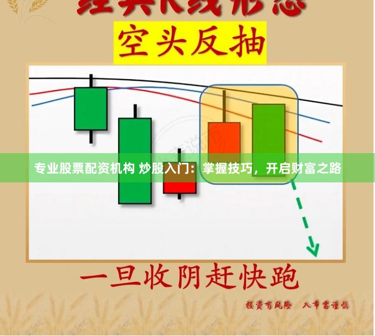 专业股票配资机构 炒股入门：掌握技巧，开启财富之路