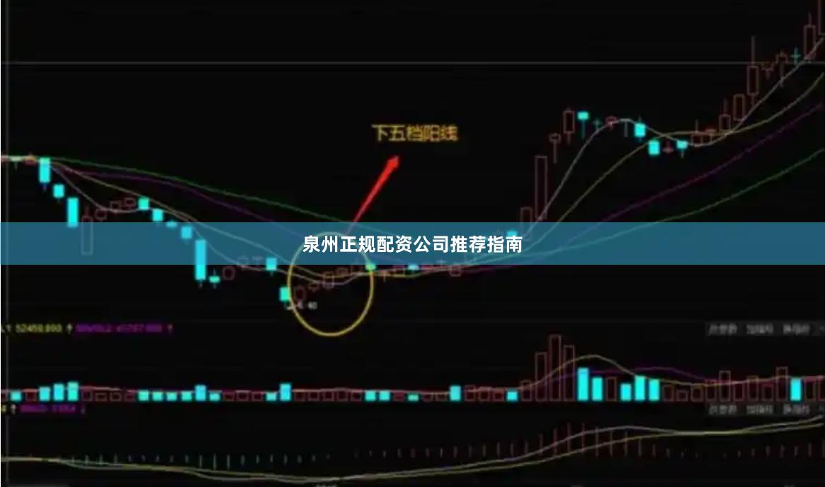 泉州正规配资公司推荐指南